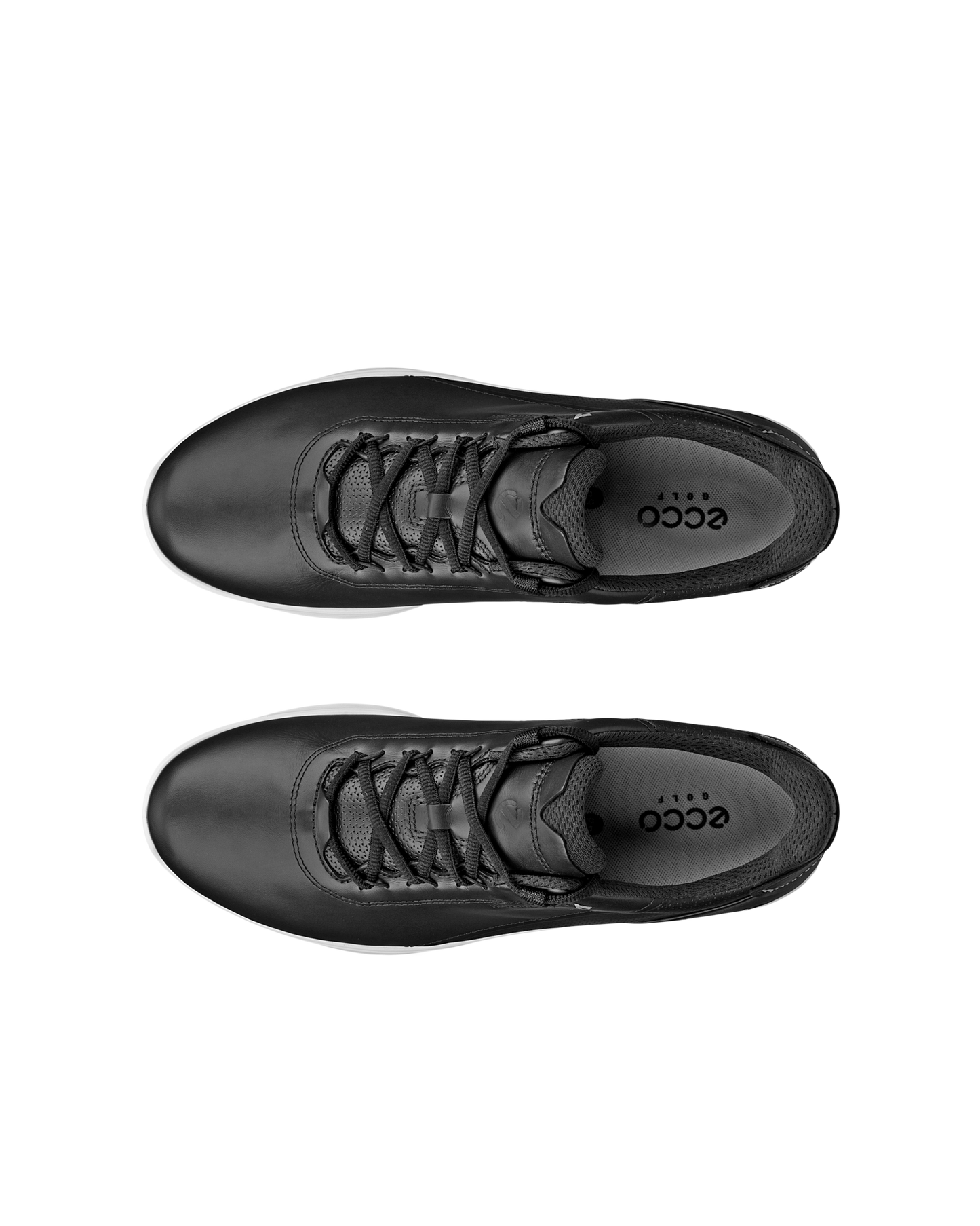 102814-01001-top_left_pair_rendition_eCom.png
