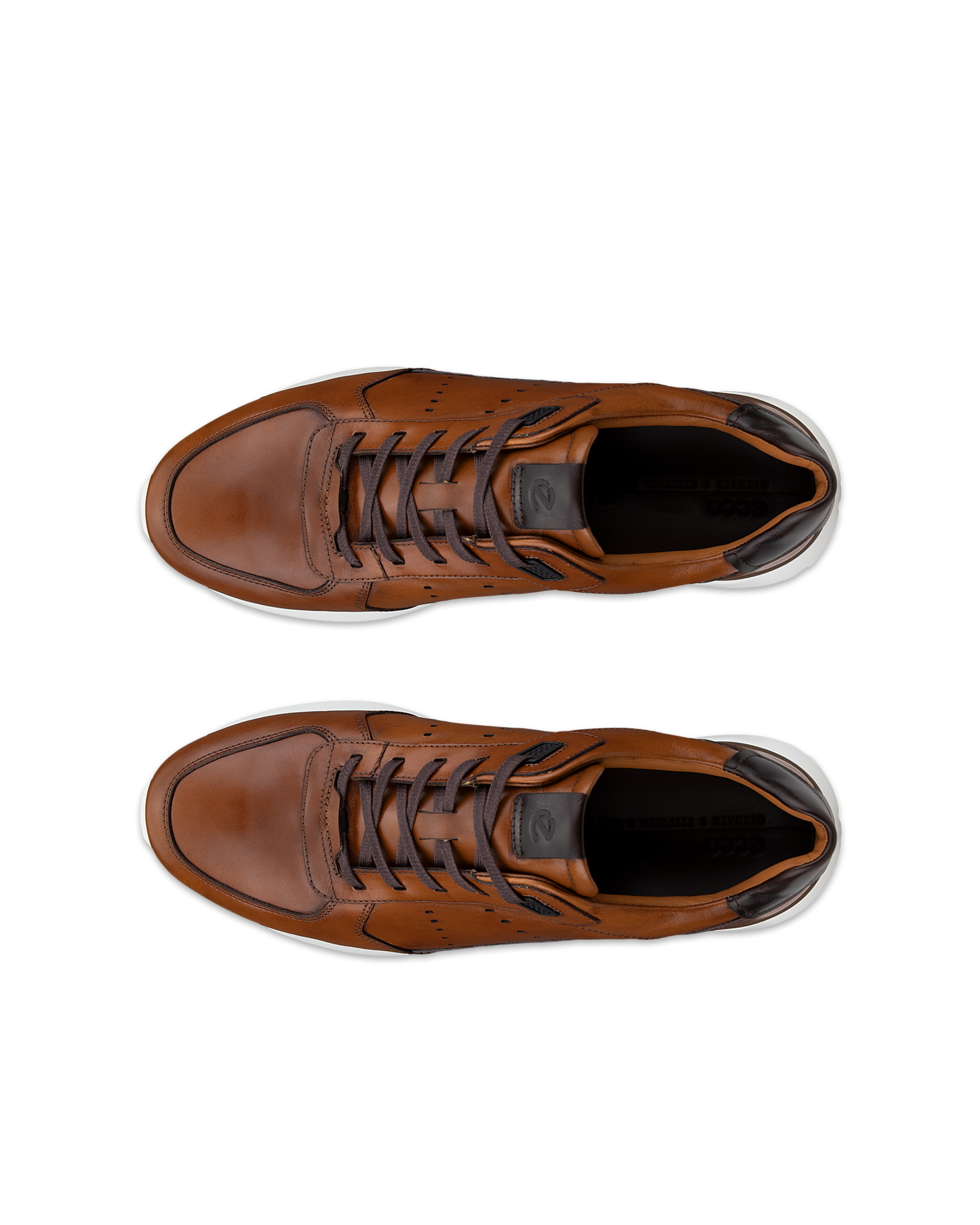 534924-61936-top_left_pair_rendition_eCom.png