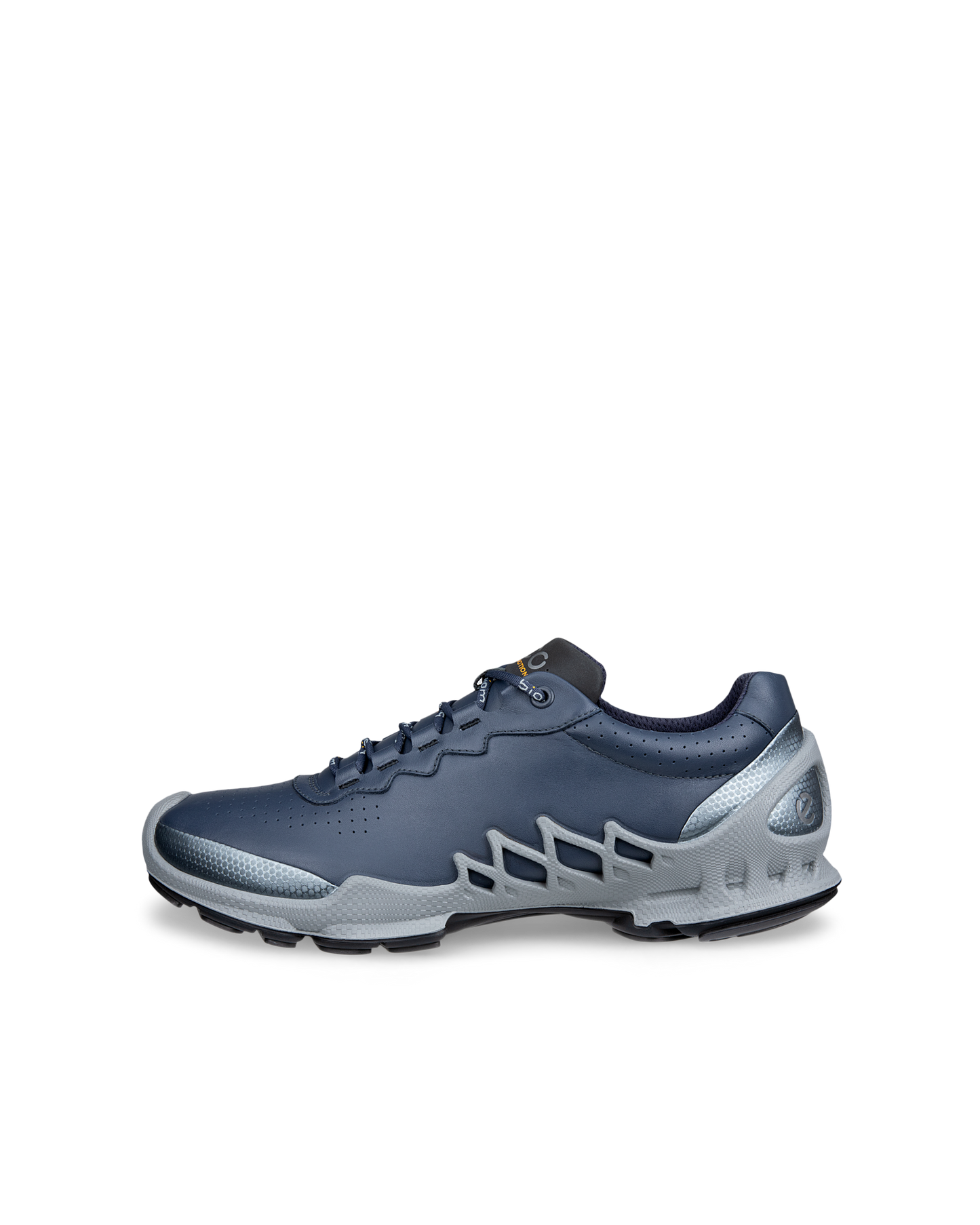 802874-61797-o_rendition_eCom.png