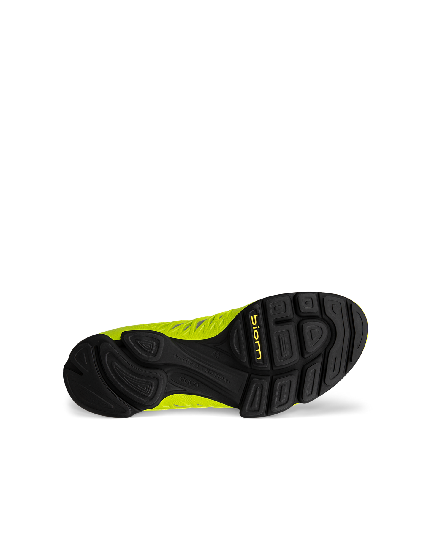 802884-61779-s_rendition_eCom.png