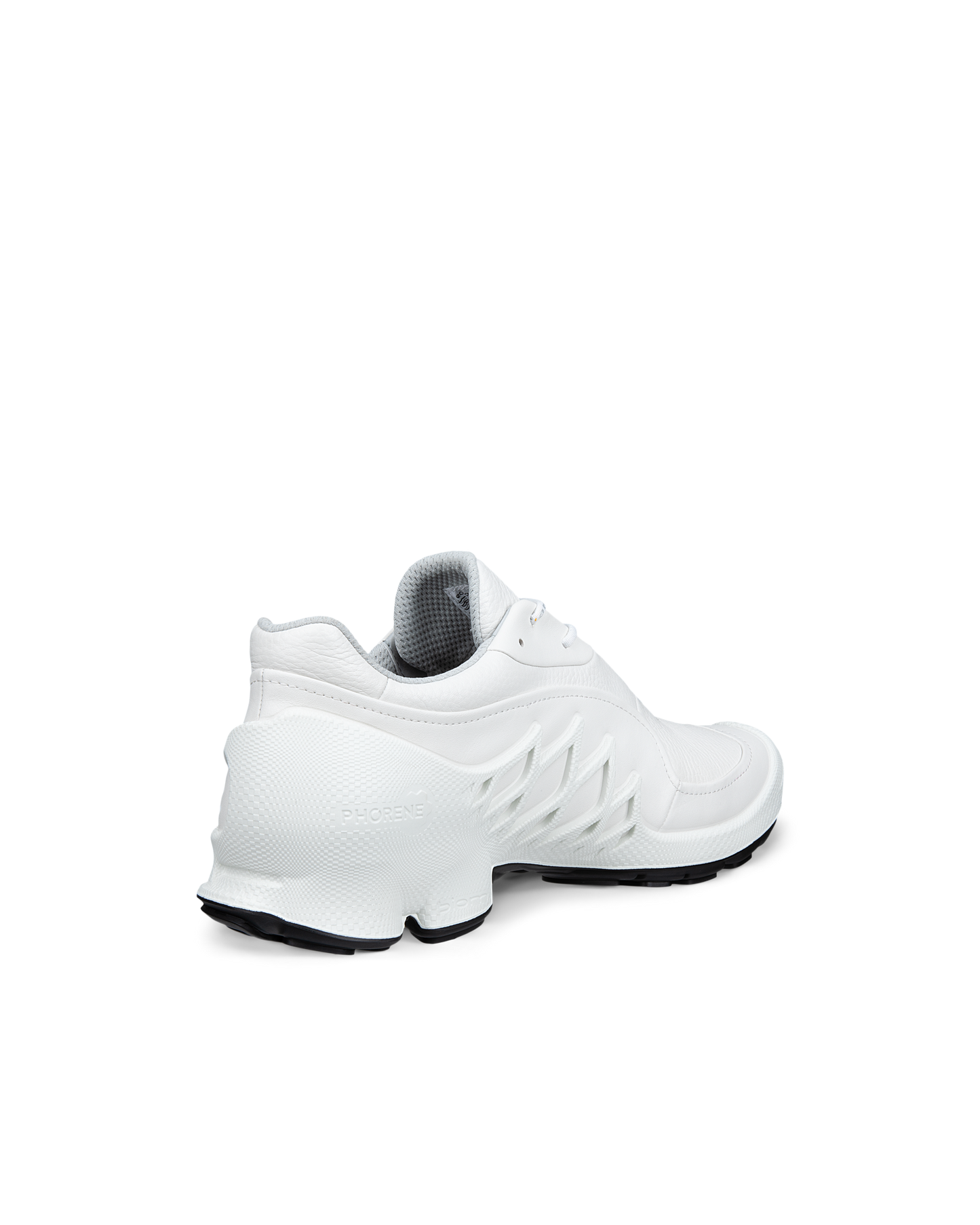 802904-50874-b_rendition_eCom.png