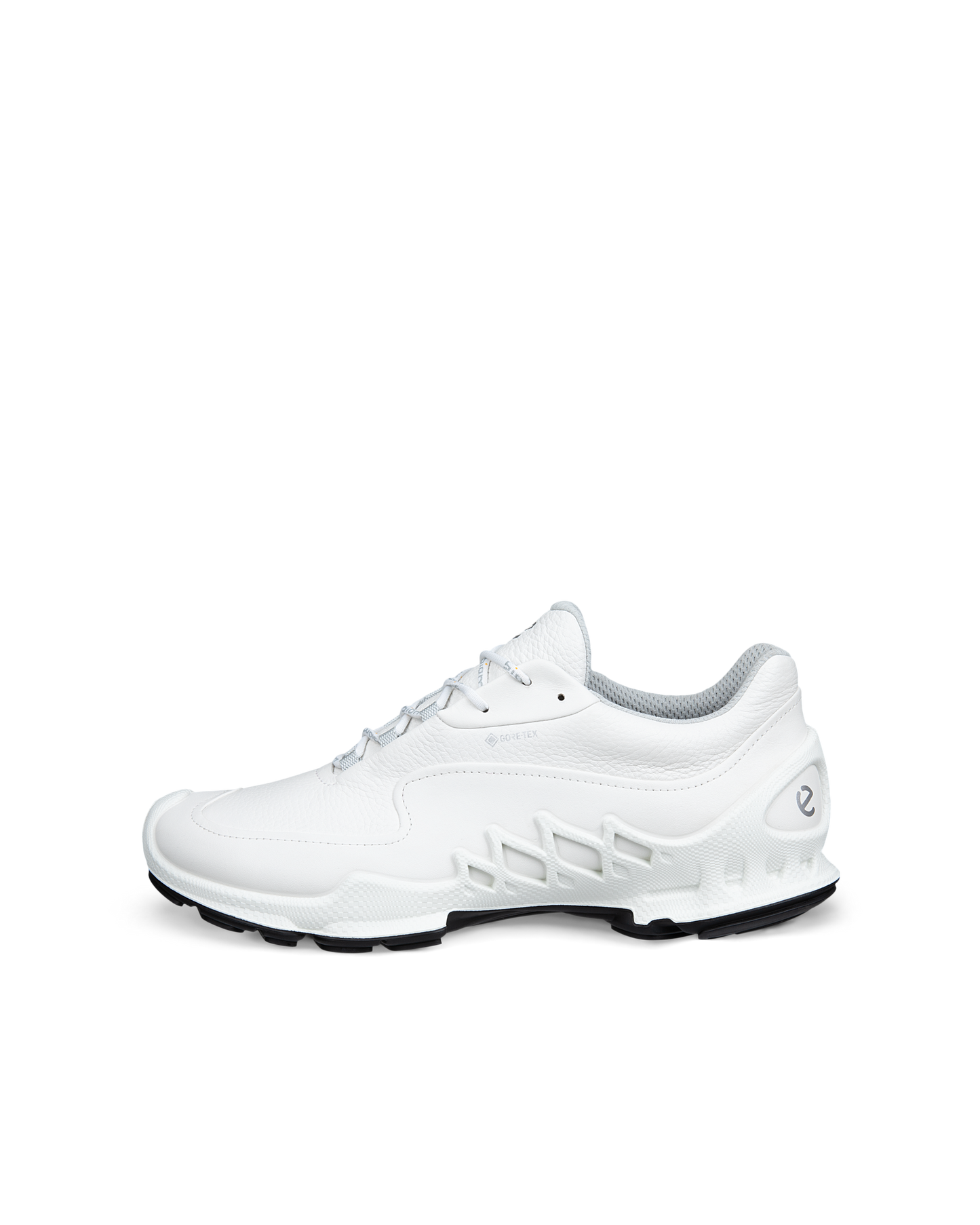 802904-50874-o_rendition_eCom.png