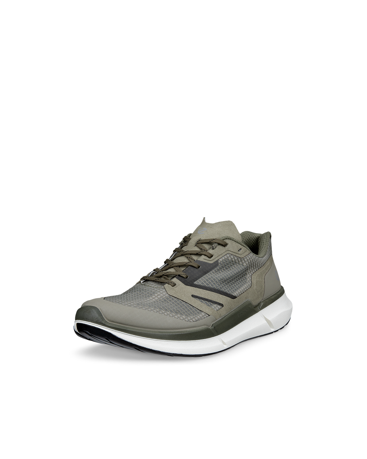 ECCO BIOM 2.2 830934