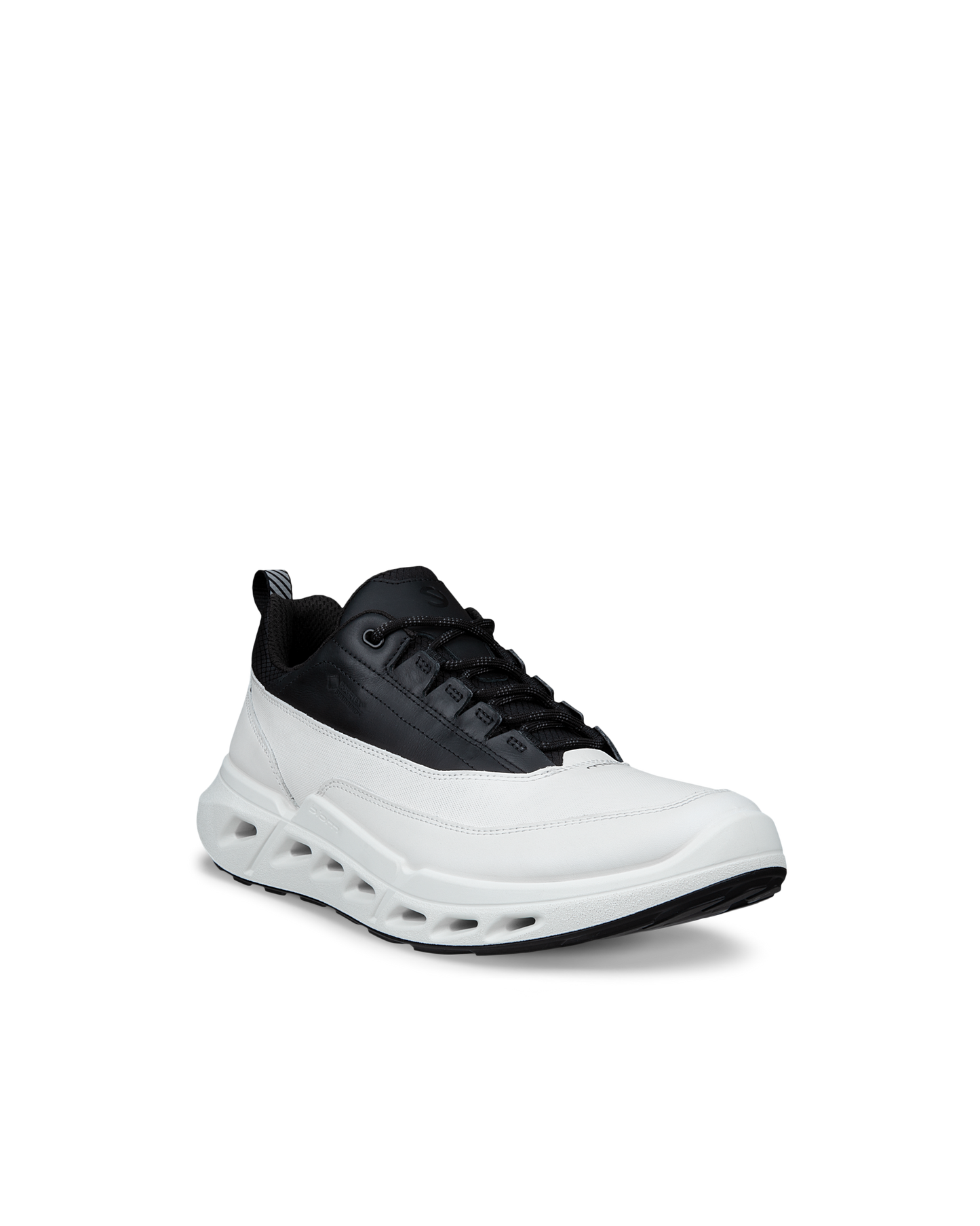 850304-51222-front_angle_right_rendition_eCom.png