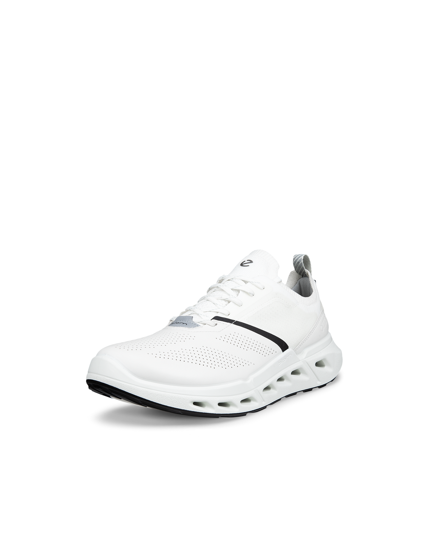 ECCO BIOM 720 850324