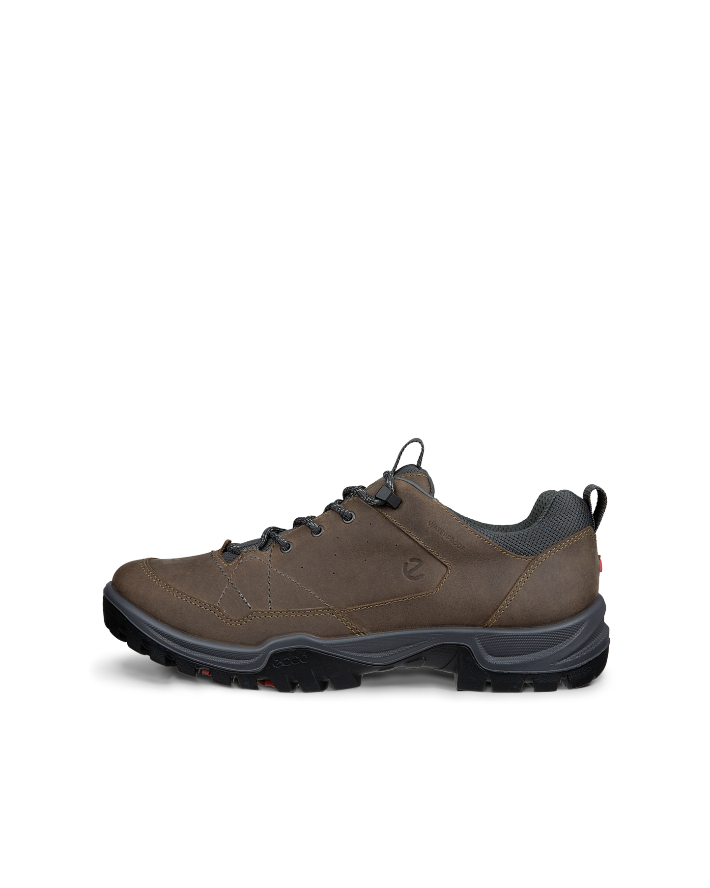 855604-61927-o_rendition_eCom.png